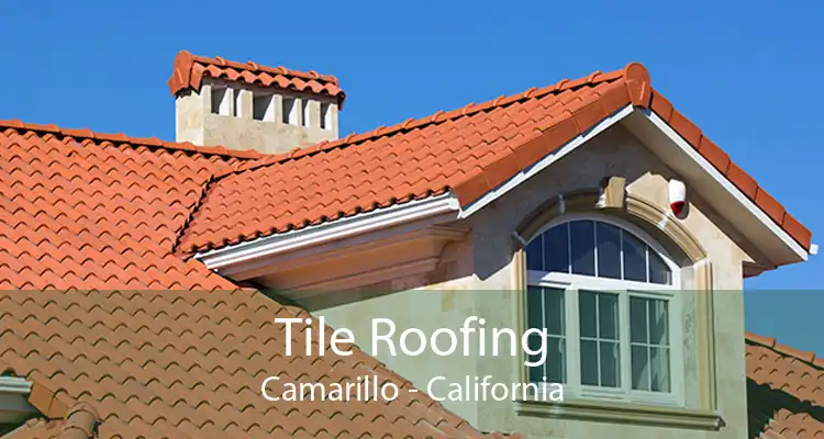 Tile Roofing Camarillo - California